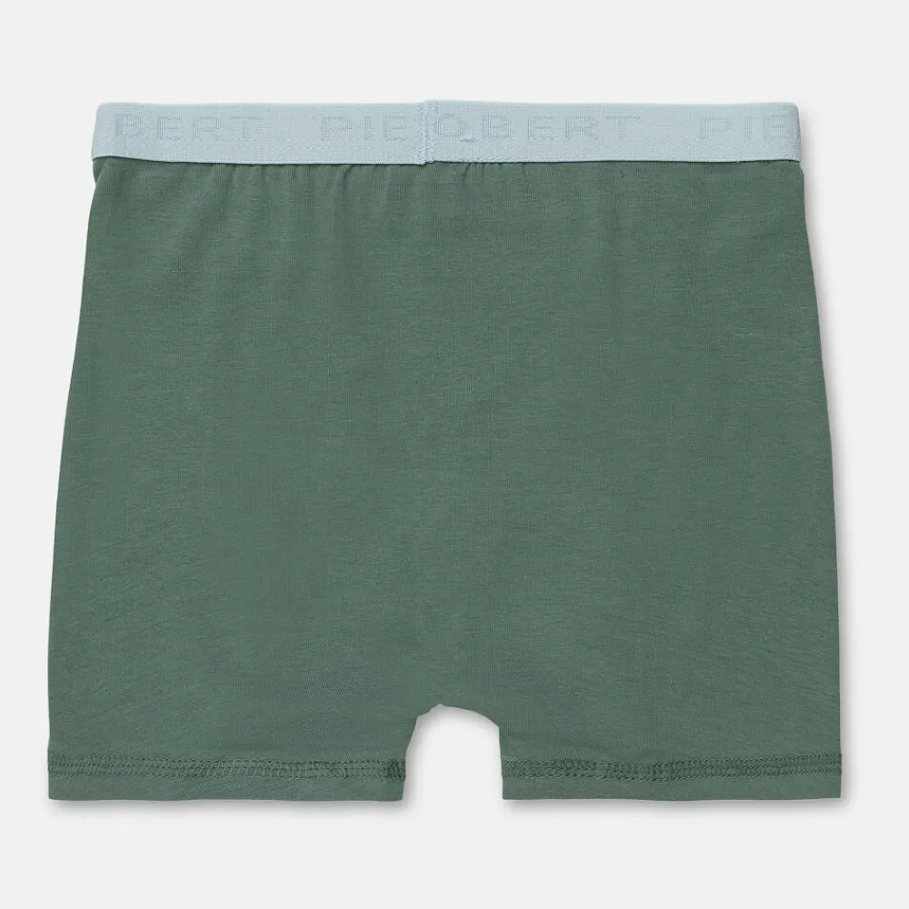Pierre Robert Undertøy-Boxershorts I Bomull Liten Gutt Jade Green and Sky Blue