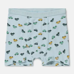Pierre Robert Undertøy-Boxershorts I Bomull Liten Gutt Jade Green and Sky Blue