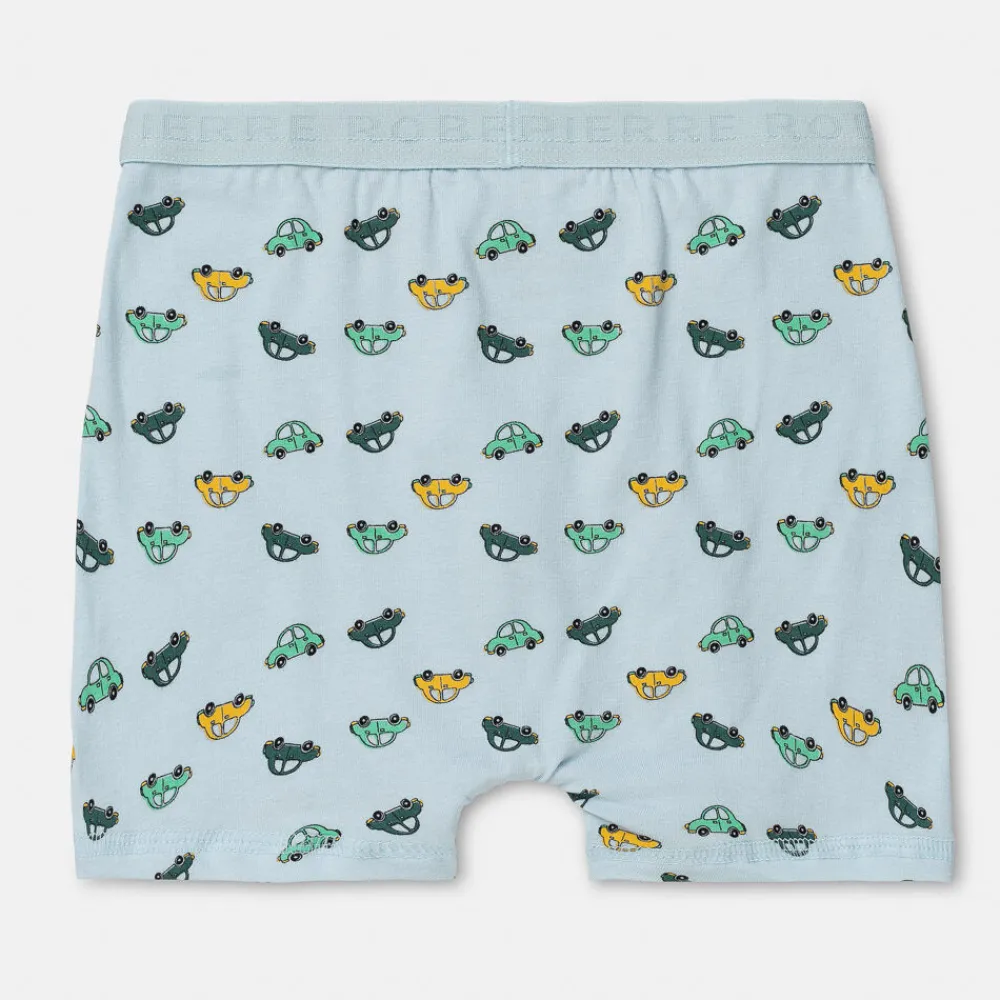 Pierre Robert Undertøy-Boxershorts I Bomull Liten Gutt Jade Green and Sky Blue