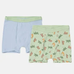 Pierre Robert Undertøy-Boxershorts I Bomull Liten Gutt Sky Blue and Mint Green