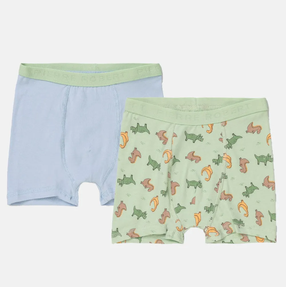 Pierre Robert Undertøy-Boxershorts I Bomull Liten Gutt Sky Blue and Mint Green