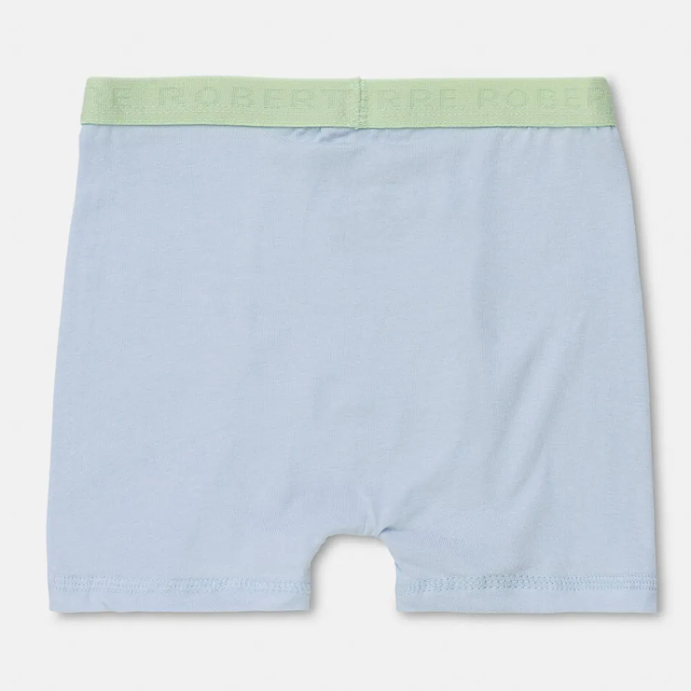 Pierre Robert Undertøy-Boxershorts I Bomull Liten Gutt Sky Blue and Mint Green