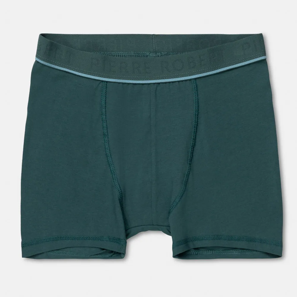 Pierre Robert Undertøy-Boxershorts Stor Gutt Pine and Ice Blue