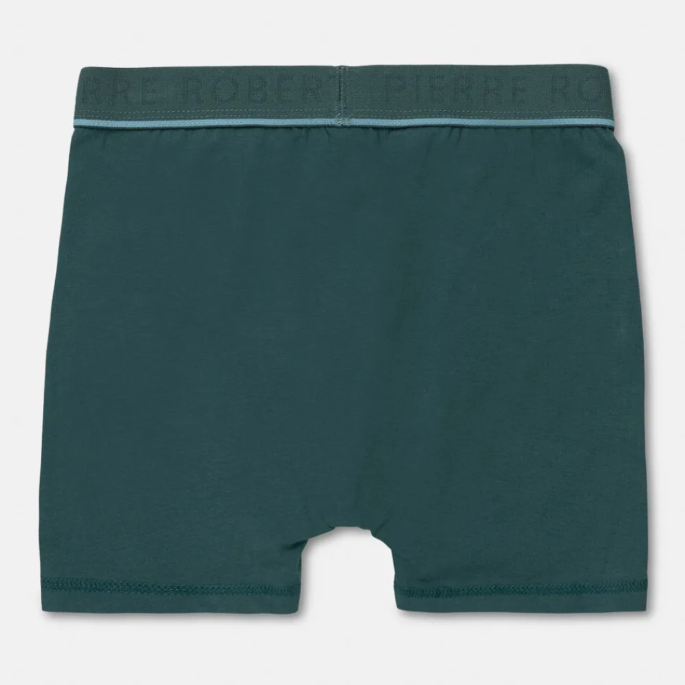 Pierre Robert Undertøy-Boxershorts Stor Gutt Pine and Ice Blue